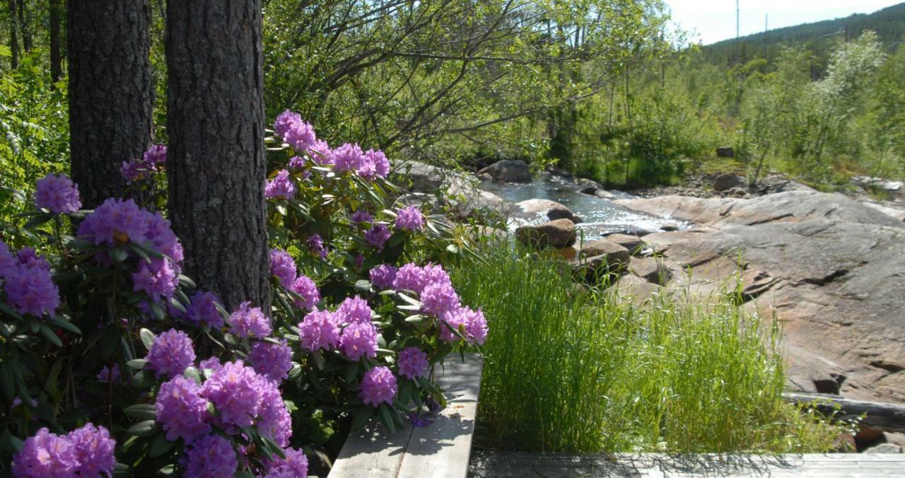 Fossumsanden Camping Og Hytter Fyresdal المظهر الخارجي الصورة